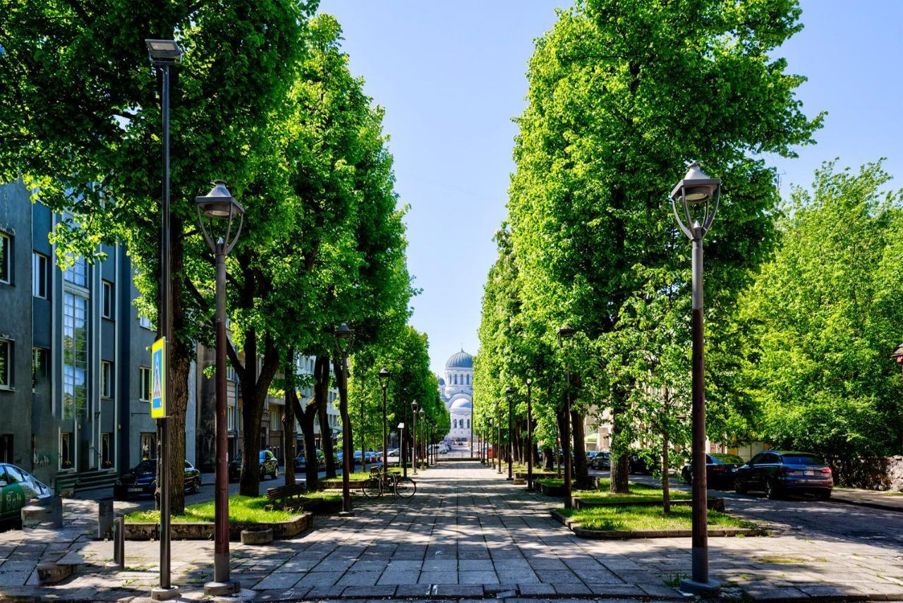 Kaunas City Center Deluxe Dış mekan fotoğraf
